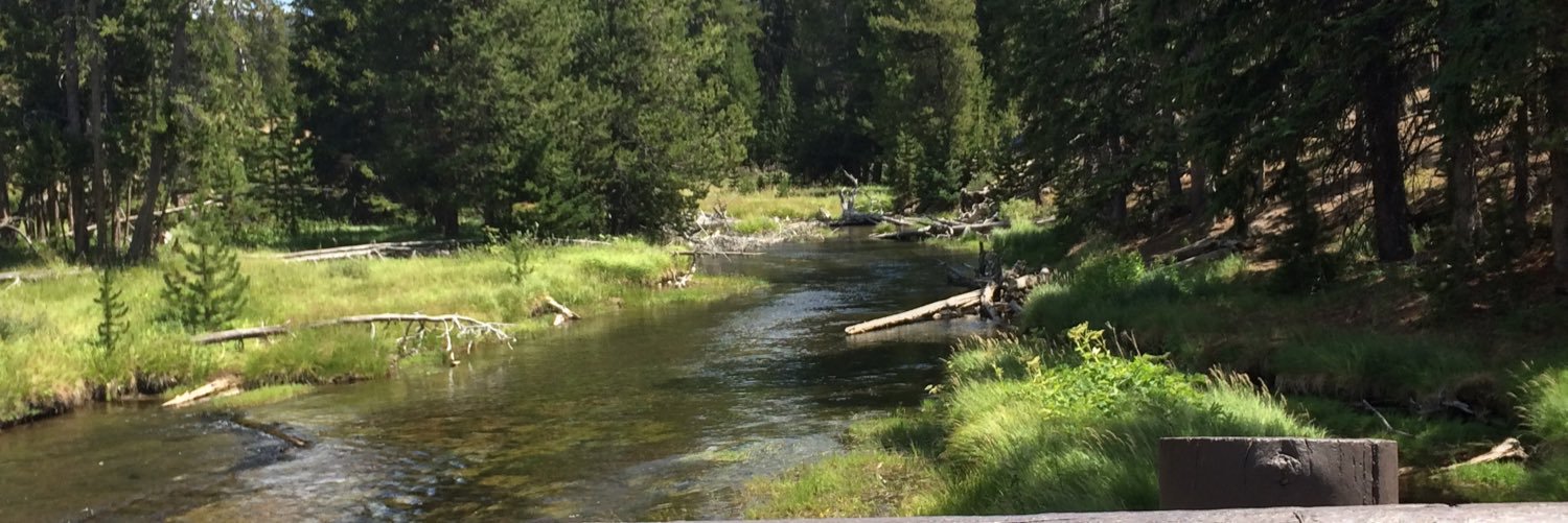 danieloest's profile banner image