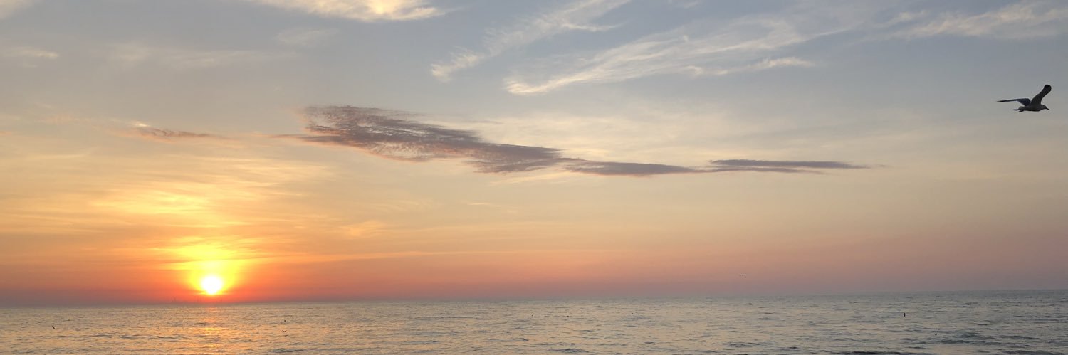 juliestradax's profile banner image