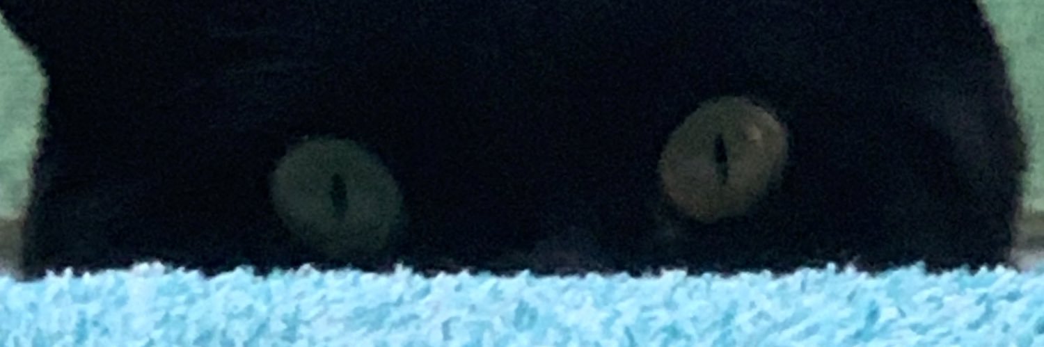 GiggleSn0rt's profile banner image