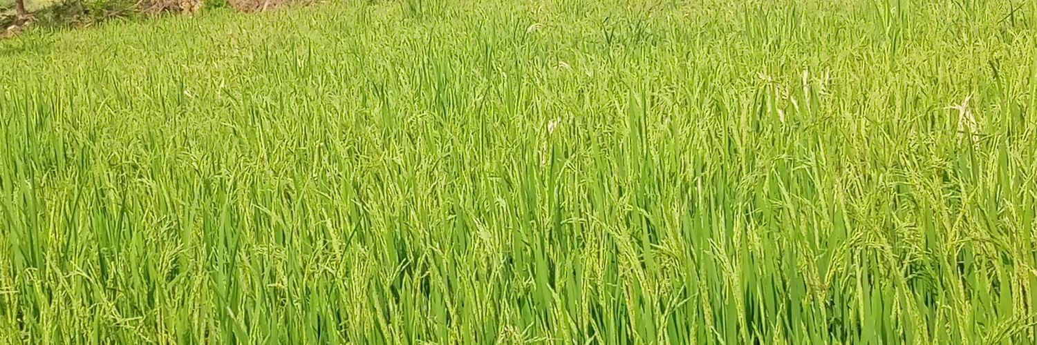ChinnuriManohar's profile banner image