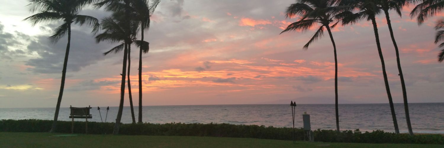 PiscesLikeJosh's profile banner image