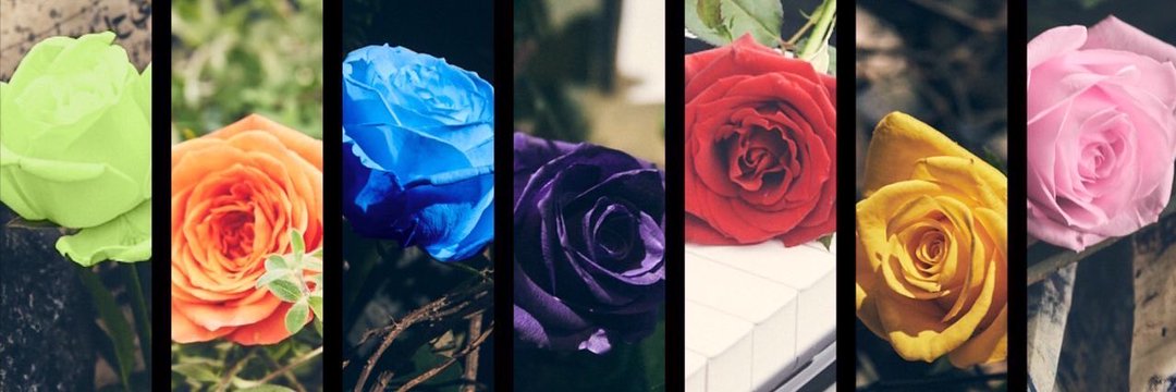 ss157200's profile banner image