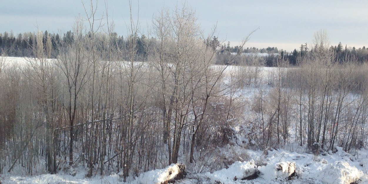 Sherrill Sutherland banner