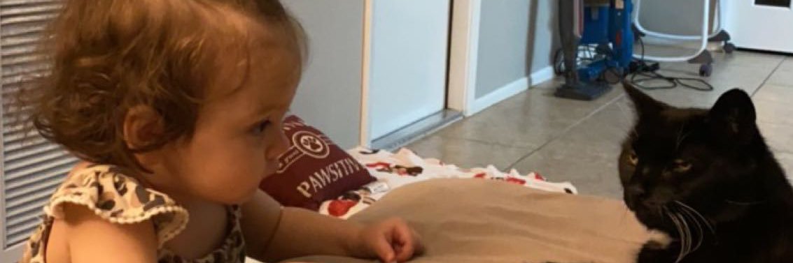 haileyjeanee's profile banner image