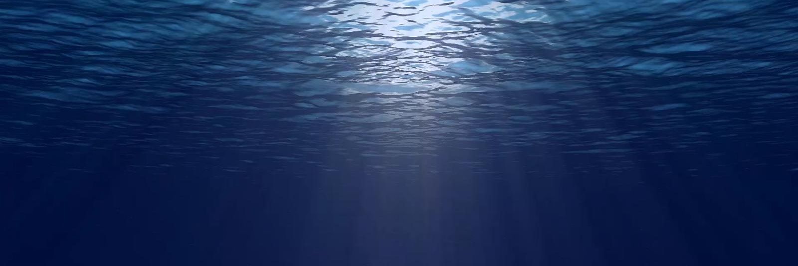 Fish Boots banner