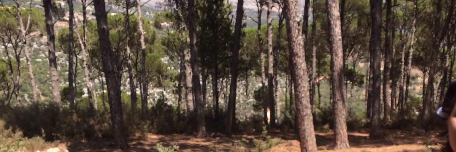 RayaneHakki's profile banner image