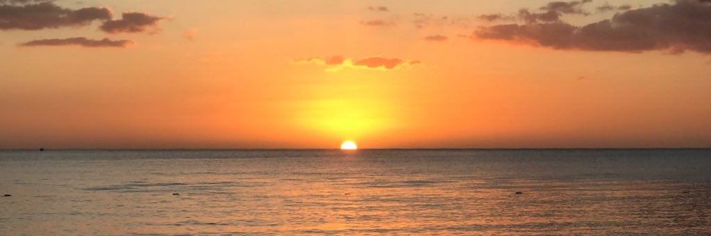 ECollazof98's profile banner image