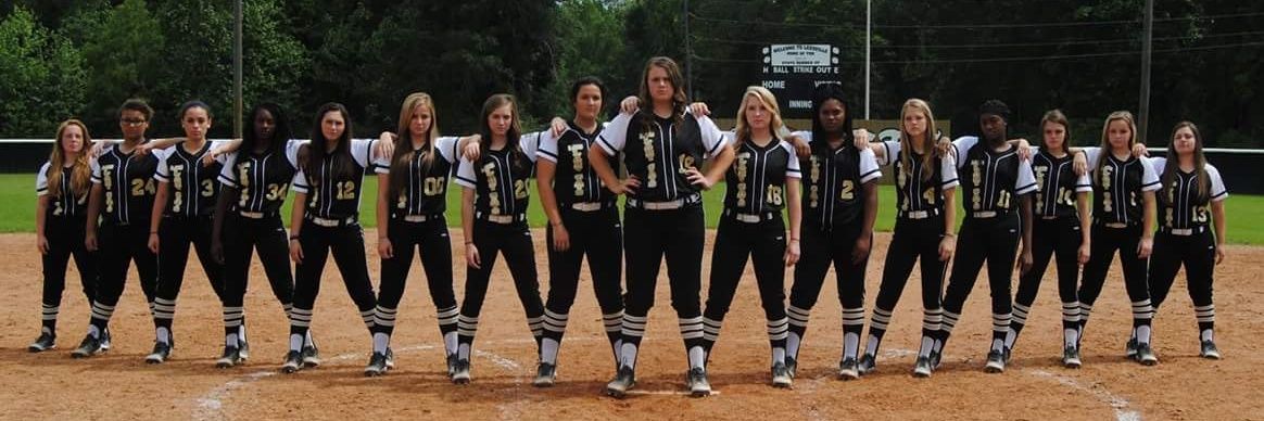 LHS_SOFTBALL_DC's profile banner image