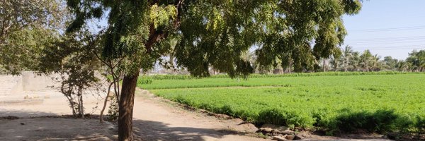 hemangigala Profile Banner