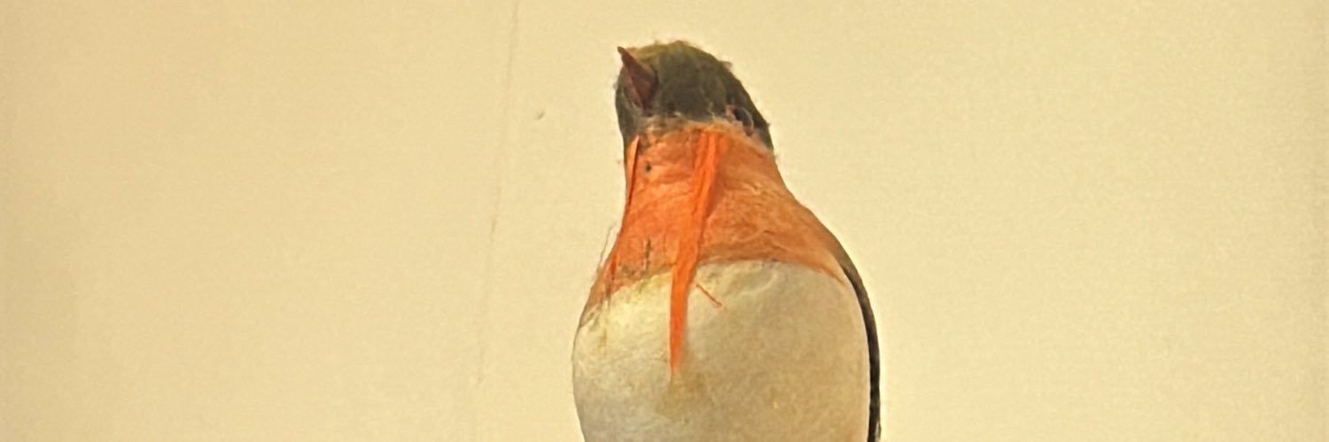 Mr Badger LUFC banner