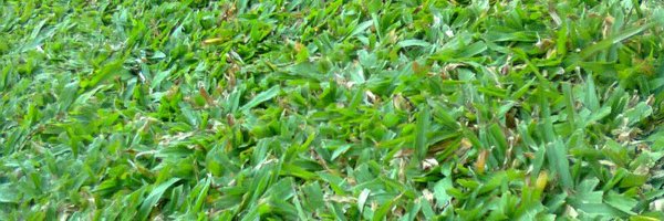 nixdamnp Profile Banner