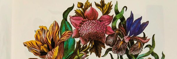 cagrieylem Profile Banner