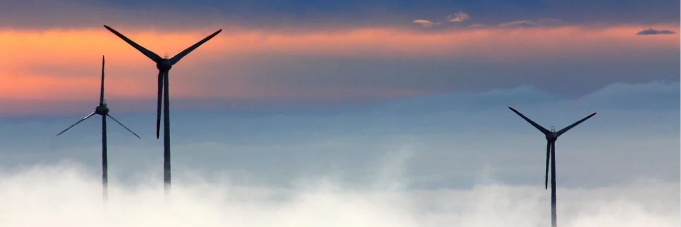 Antonio Anselmi banner