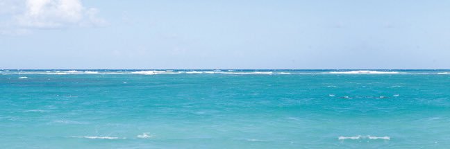Cissy Robinson Hassell ~ Author's banner