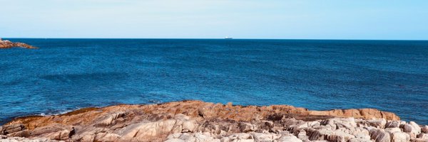 DaweiPan Profile Banner