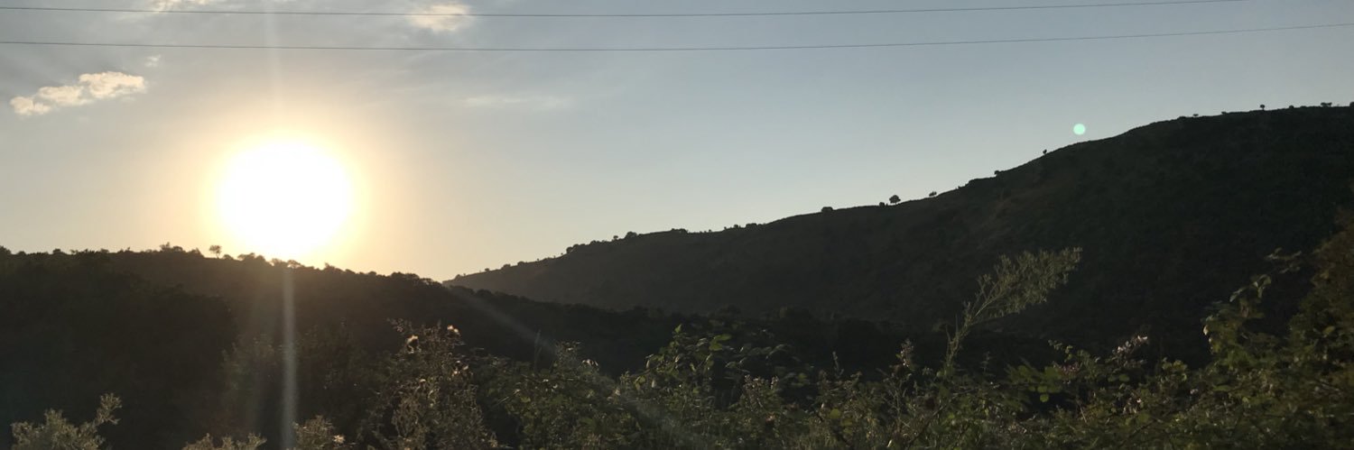 mineilik's profile banner image