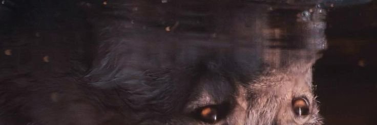 c0d3cjarC's profile banner image