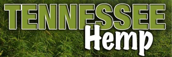 Tennessee_Hemp's profile banner image