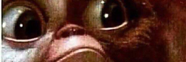 Dom G banner
