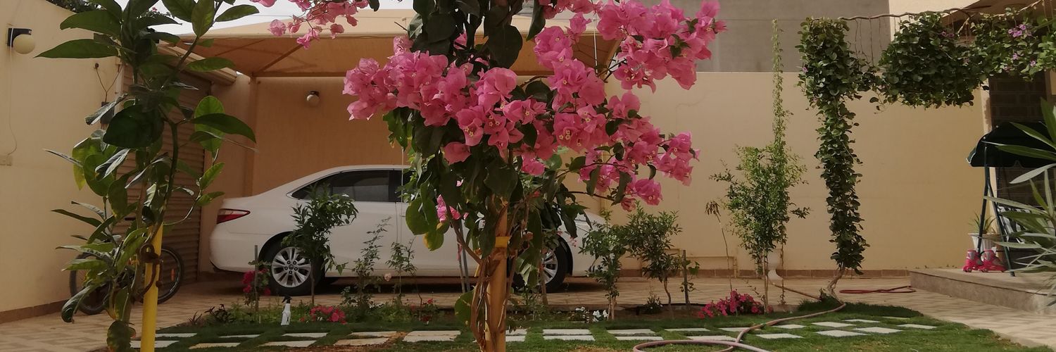 ابوحسام 🌿 banner