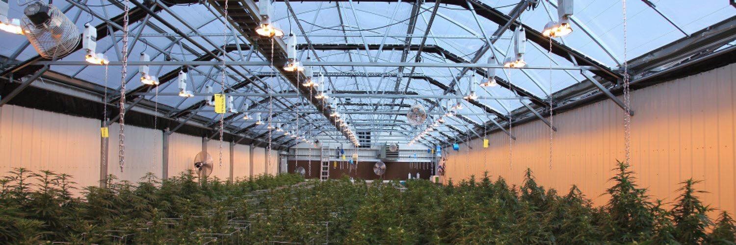 UtahHemp's profile banner image