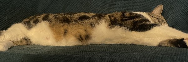 RenaudMachart Profile Banner