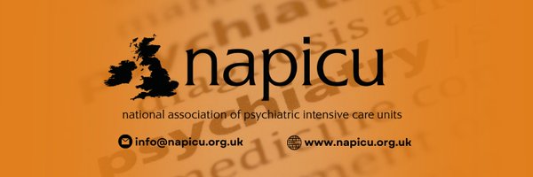 napicu Profile Banner