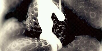 reborn_nr's profile banner image