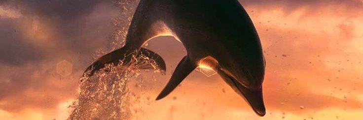 vero72ma's profile banner image