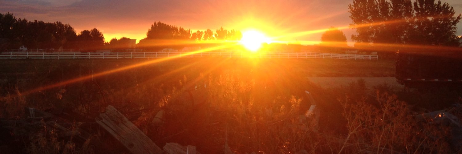OstynMills's profile banner image