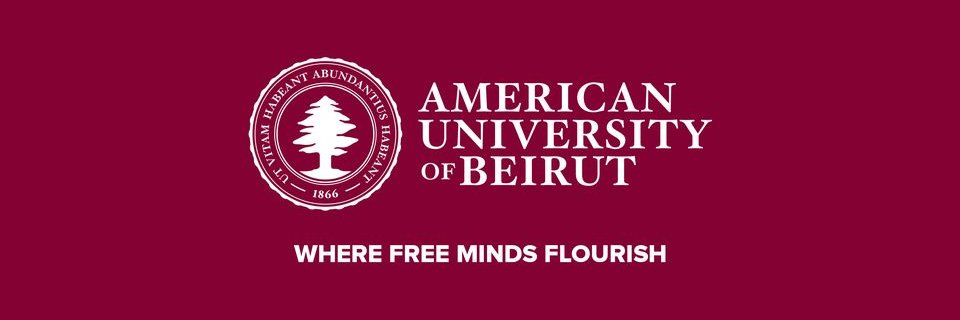 AUB EHSRM banner