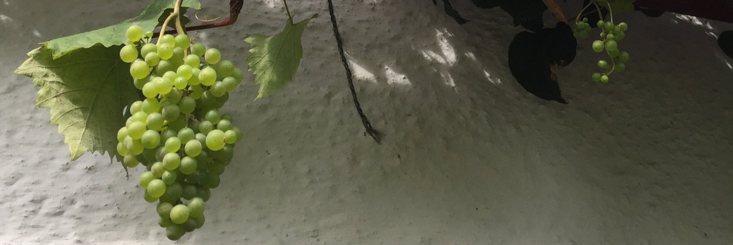 TessGdr's profile banner image
