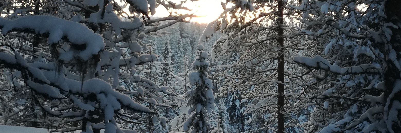 snaijert's profile banner image