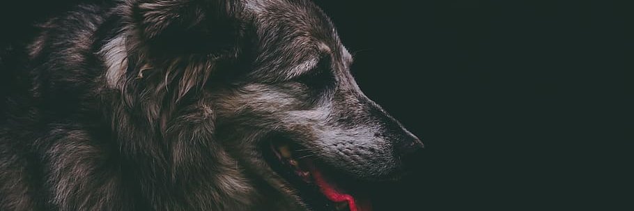 Raditinsansyah's profile banner image