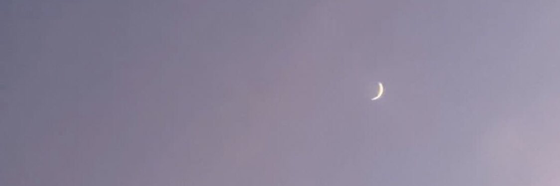 bellizzema's profile banner image