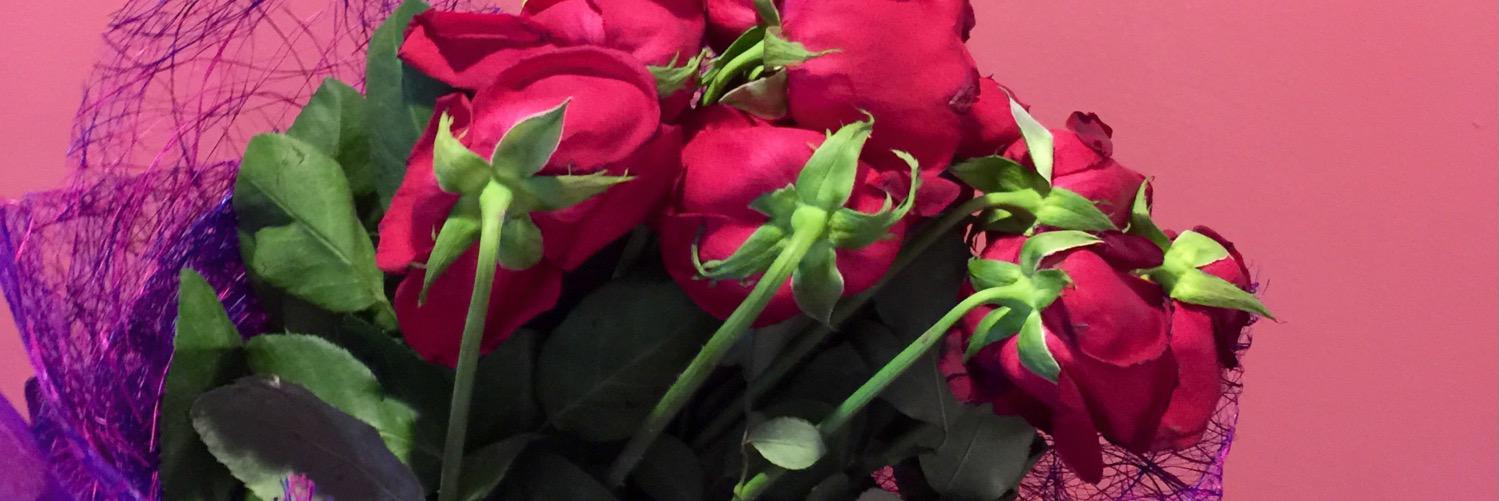 tweetdree's profile banner image