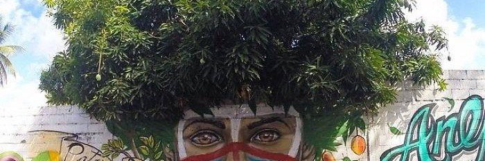 Laura Capuzzi banner