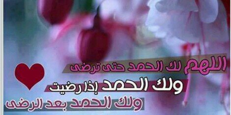 sarialqadi's profile banner image