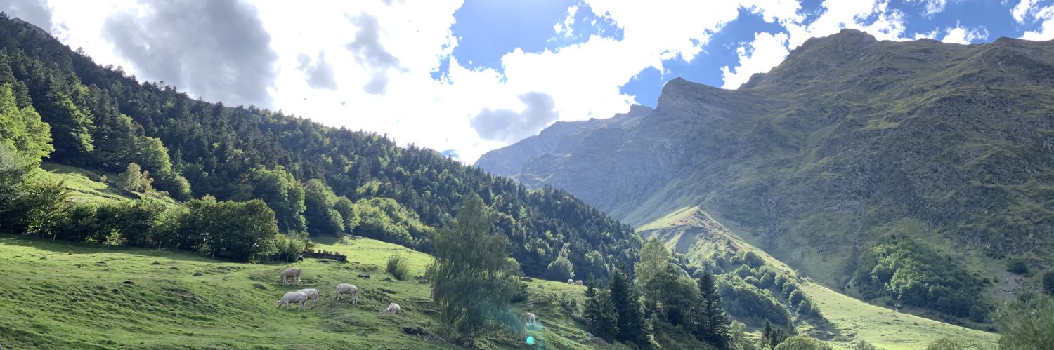 Sykblade's profile banner image