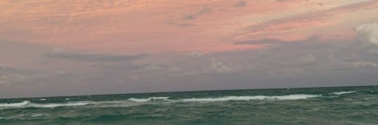 alyxfng's profile banner image