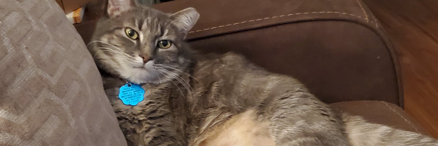 Selena banner