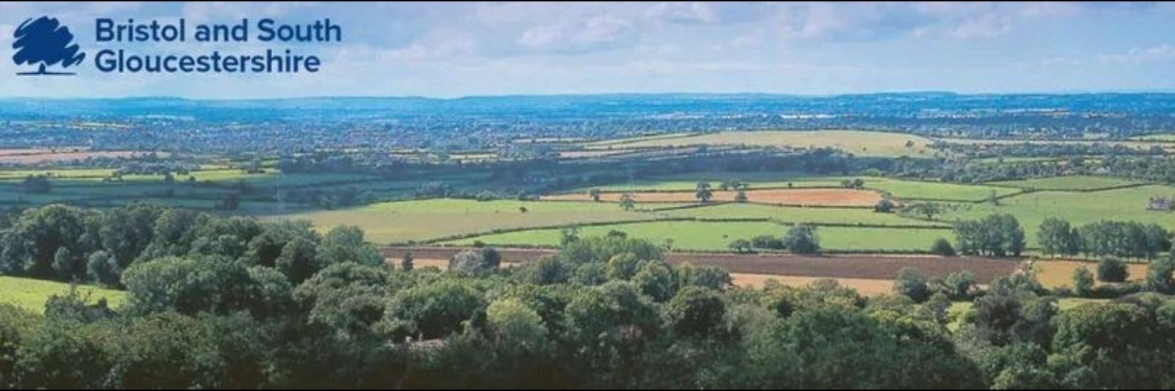 BSG Conservatives banner