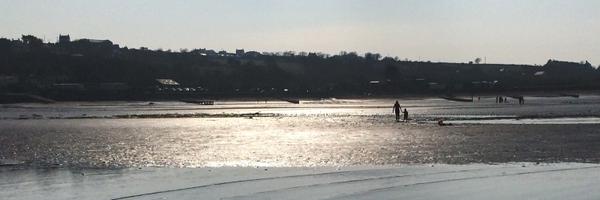 TerryShh Profile Banner