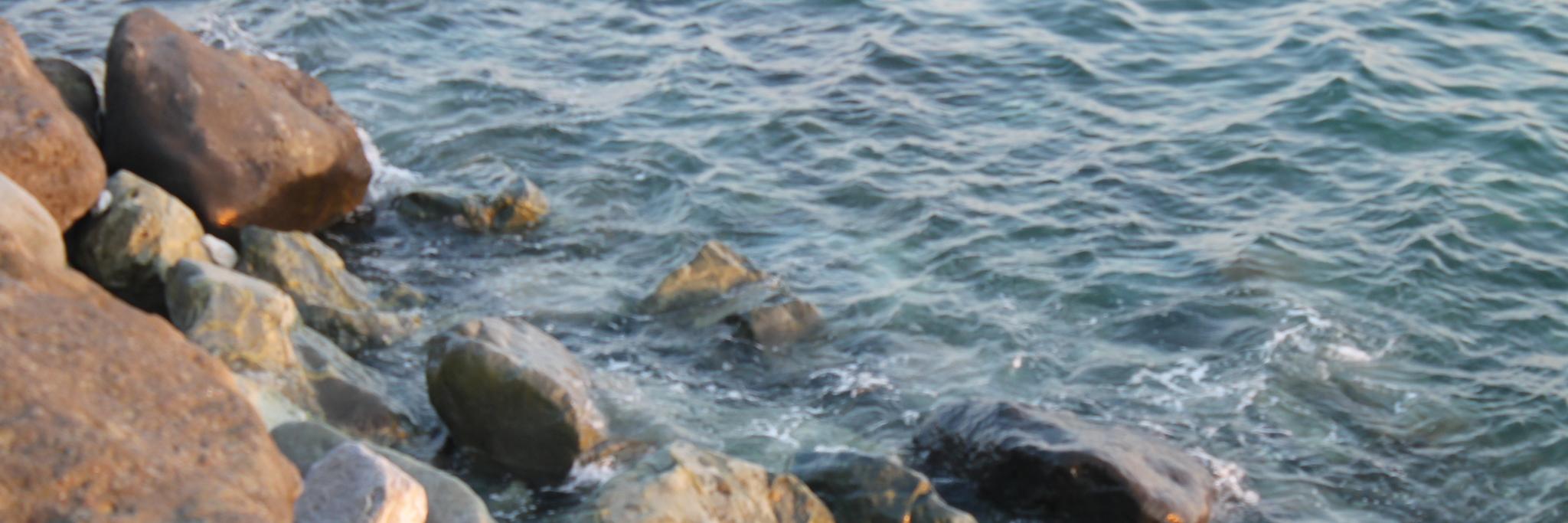 KatyPingvin13's profile banner image