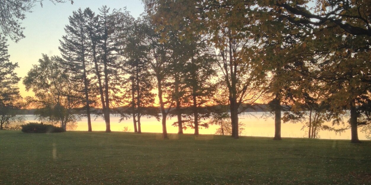 Julie Donovan banner