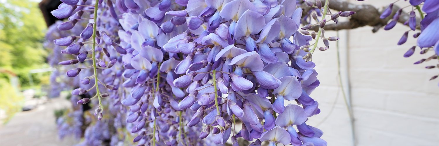 David Turner (gs65 on B S k y) banner