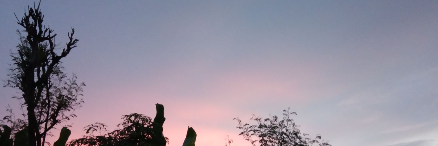 AyuLingling08's profile banner image