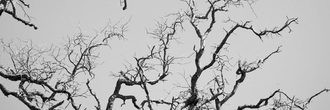 Lhi_8's profile banner image