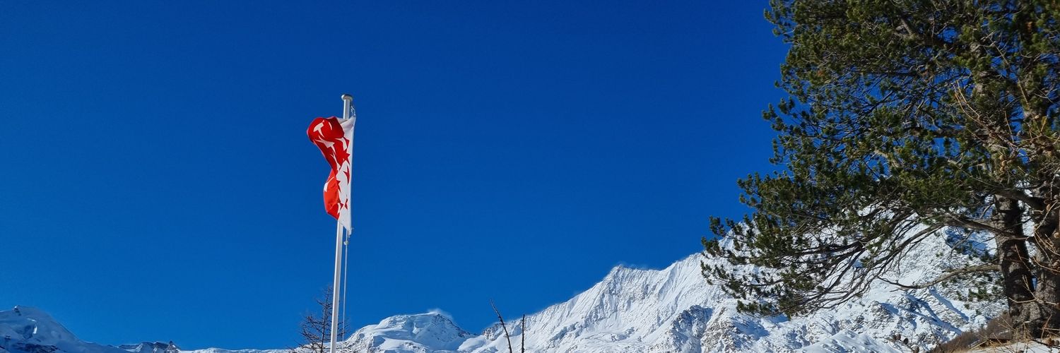 Easygysi's profile banner image