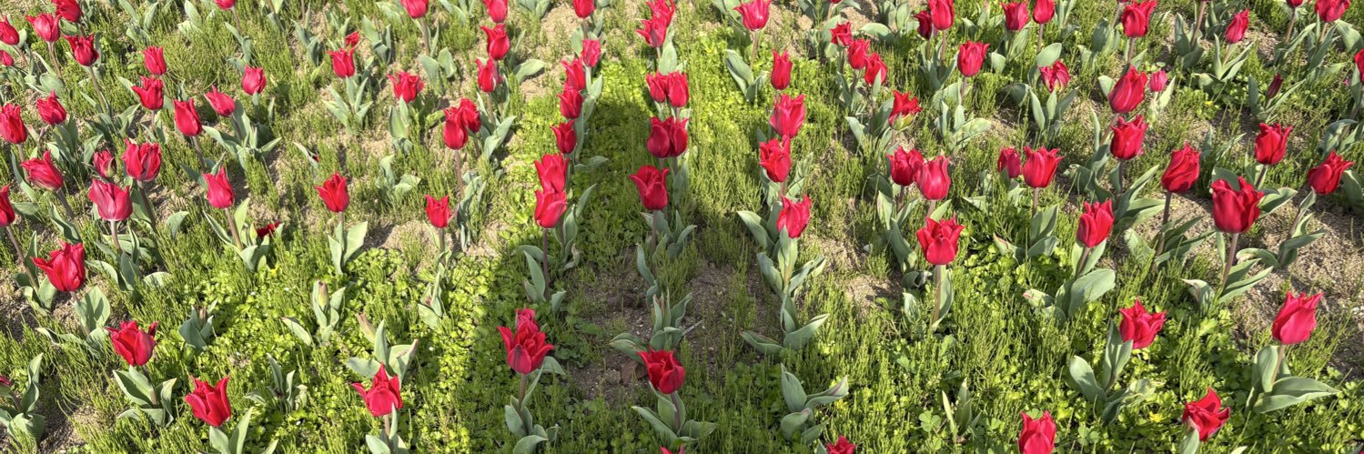 satsuki201308's profile banner image